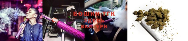 молекула духа Елизово