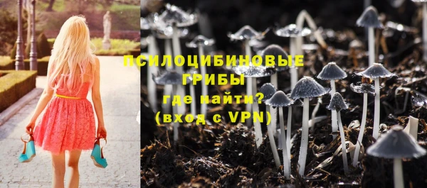 молекула духа Елизово