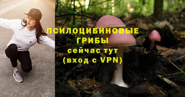 мяу мяу мука Ельня