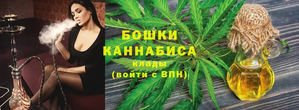 молекула духа Елизово