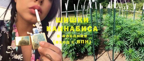 молекула духа Елизово