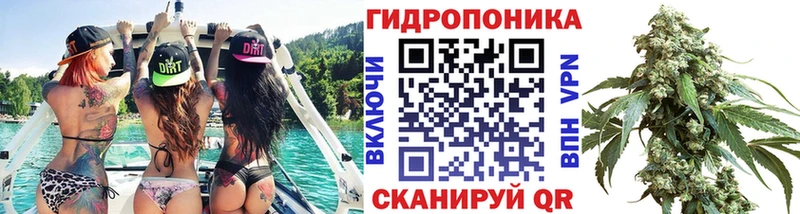Купить закладки  Ельня  Шишки марихуана OG Kush 